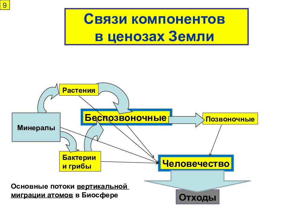 Связь компонент. Взаимосвязь компонентов в растении. Почва и растения взаимосвязь. Биология взаимосвязь компонентов. Компоненты связи.