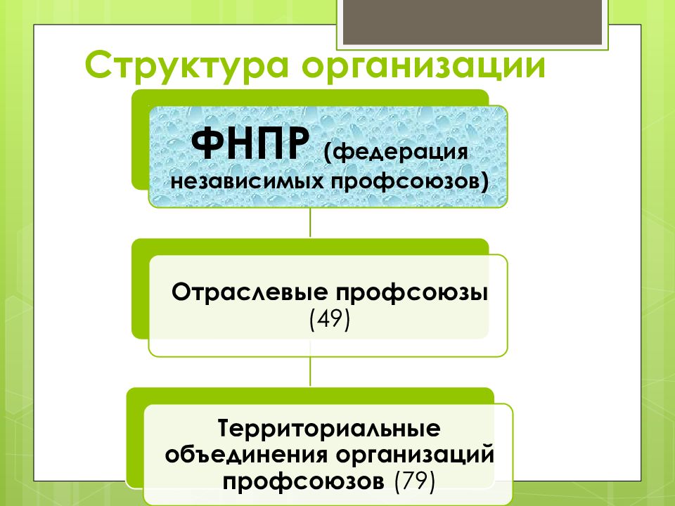 Каков прямом. Профсоюзы и их роль. Роль профсоюзов и государства на рынках труда. Роль профсоюза в организации. Роль профсоюзов в экономике.