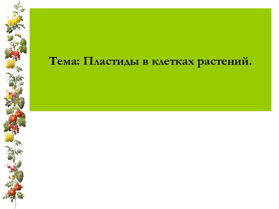 Тема: Пластиды в клетках растений.