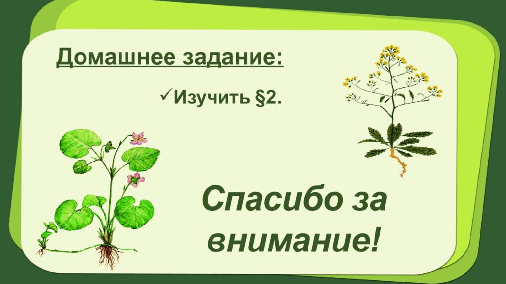 Биология 7 класс Тема урока: § 2.Систематика растений