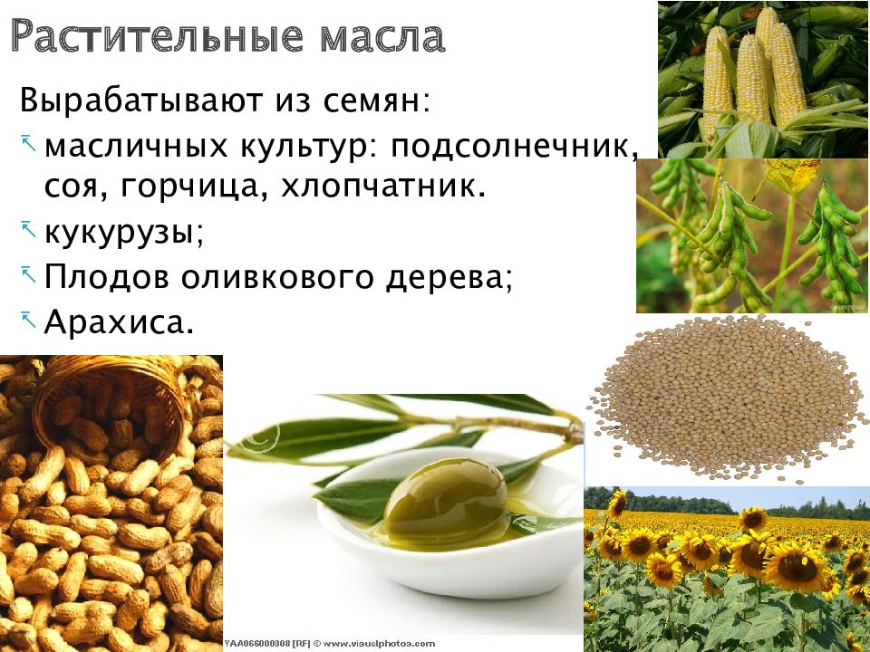 Масленичные культуры презентация