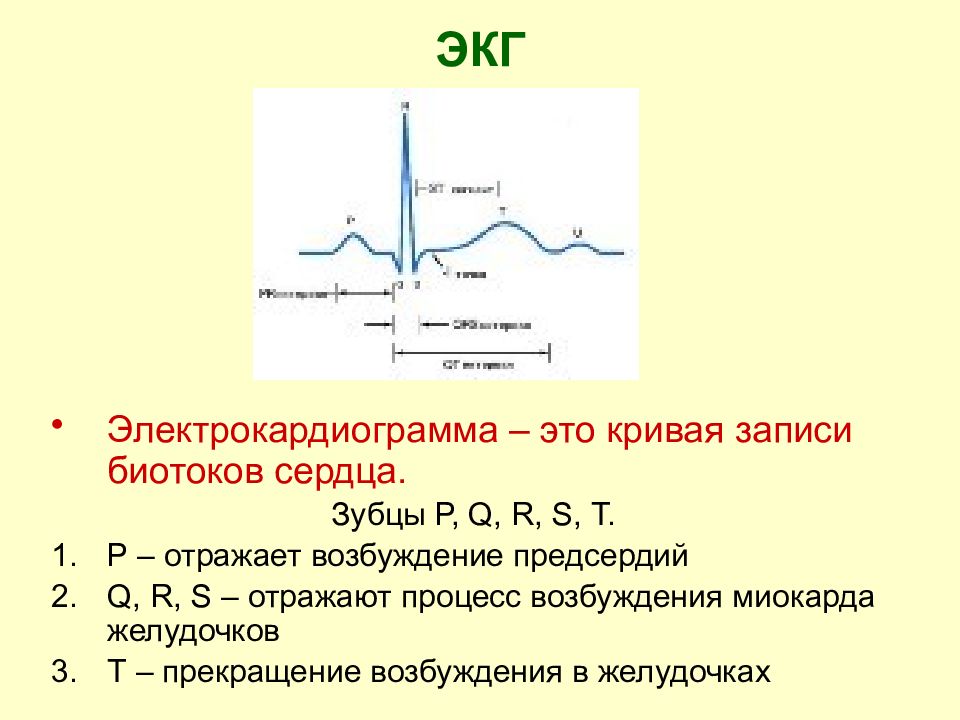 Экг сердца презентация