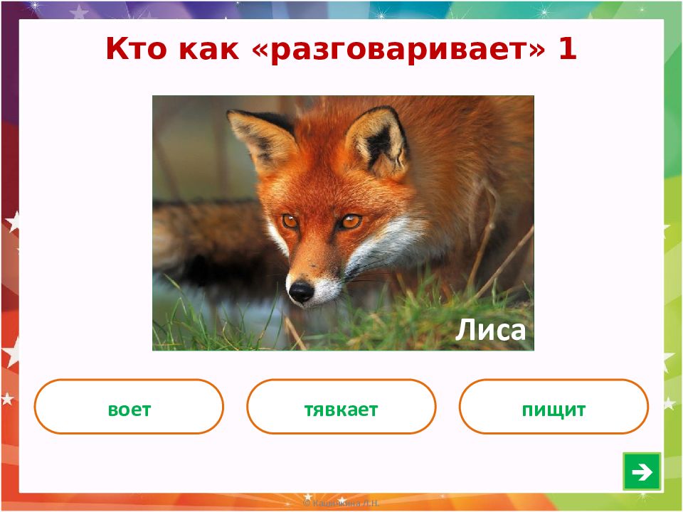 Скажи лису