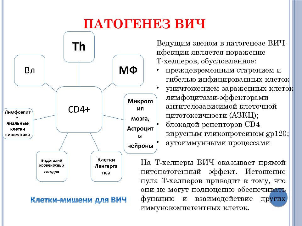 Иммунодефицитные состояния презентация