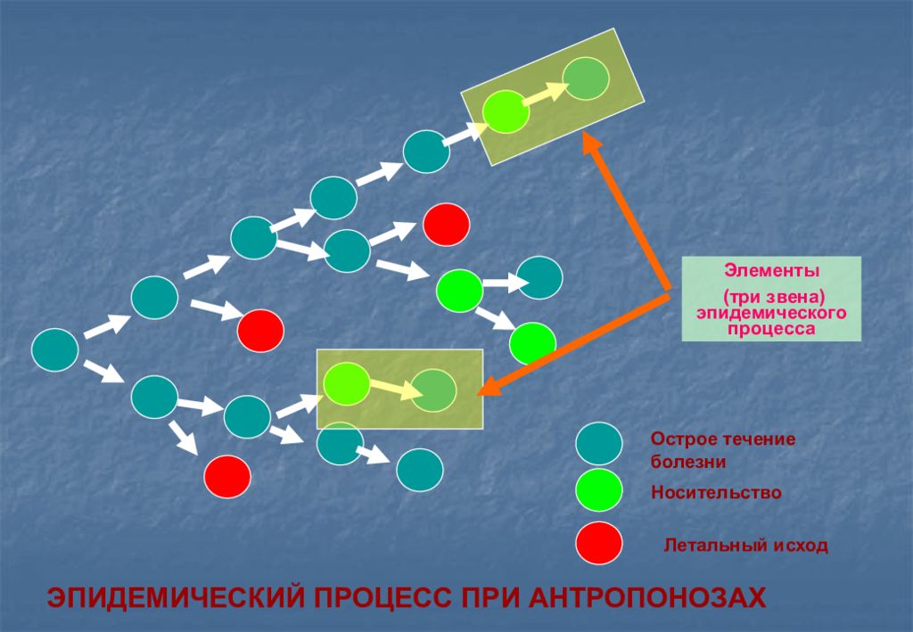 Учение об эпидемическом процессе презентация