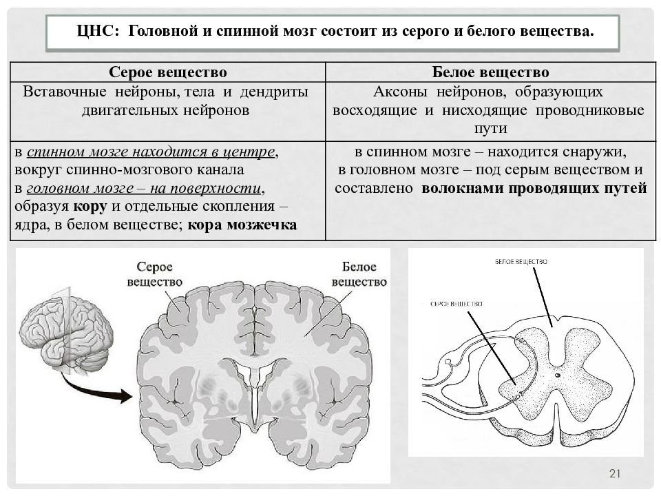 Внд подготовка к егэ презентация