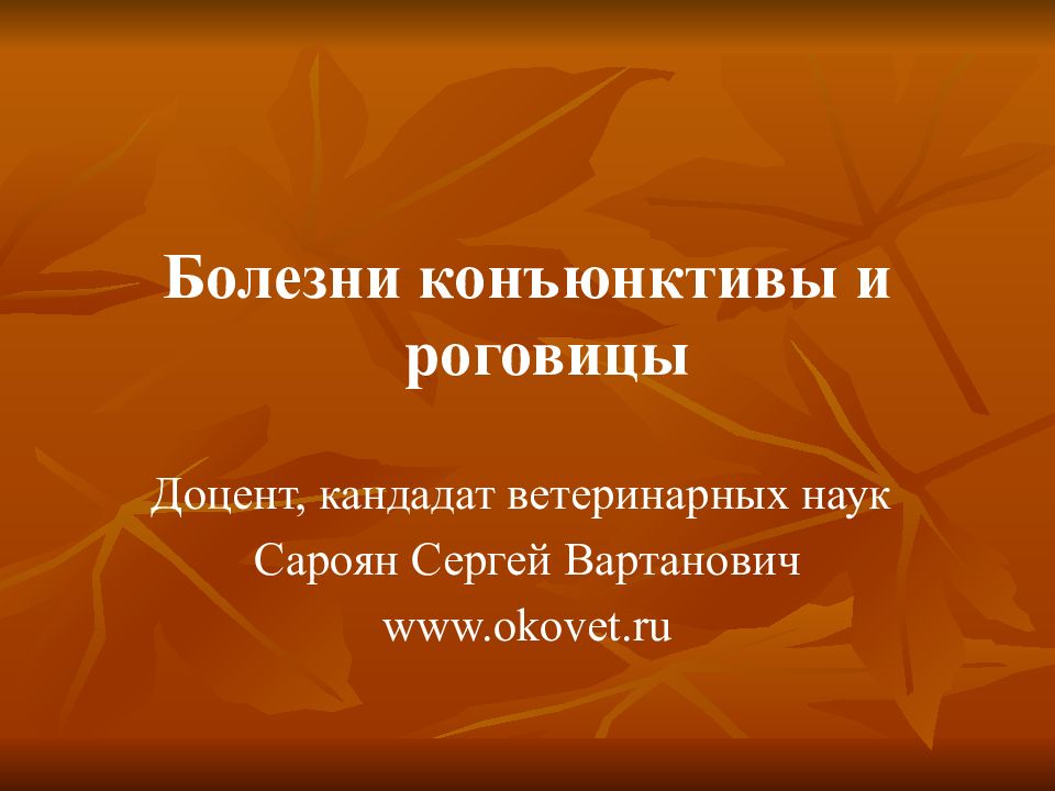 Болезни конъюнктивы и роговицы Доцент, кандадат ветеринарных наук Сароян Сергей
