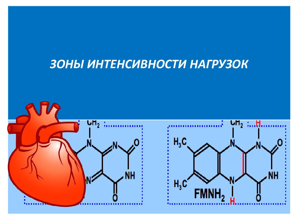 Зоны интенсивности нагрузок