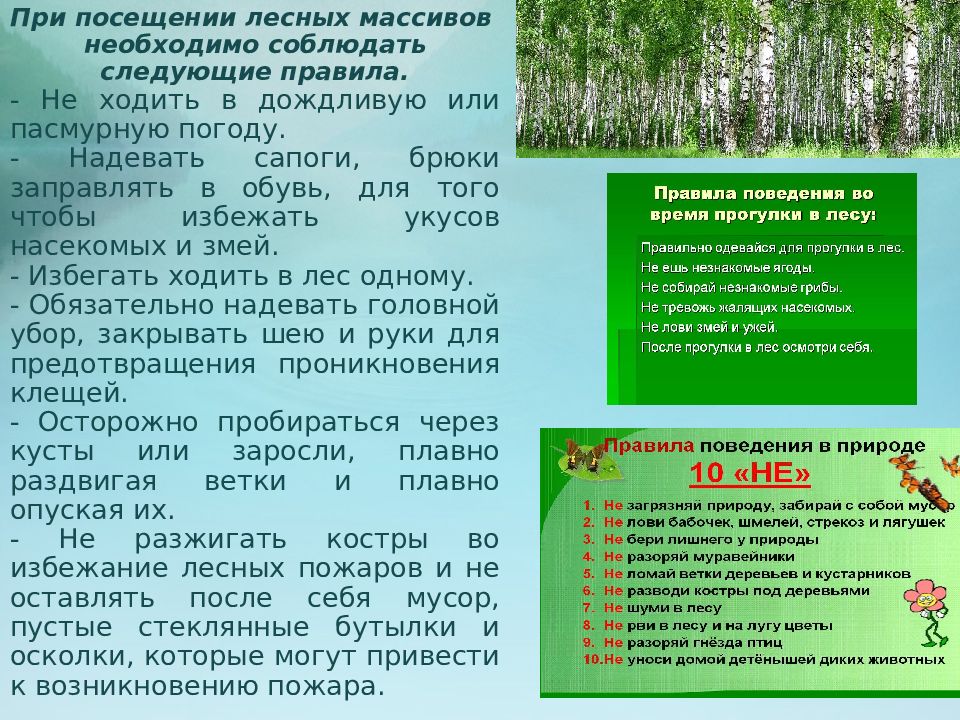 Какие погодные условия не стоит посещать лес. Правила поведения в Лесном массиве. При посещении леса необходимо соблюдать следующие правила. Меры безопасности при посещении леса. Правила поведения в дождливую погоду.