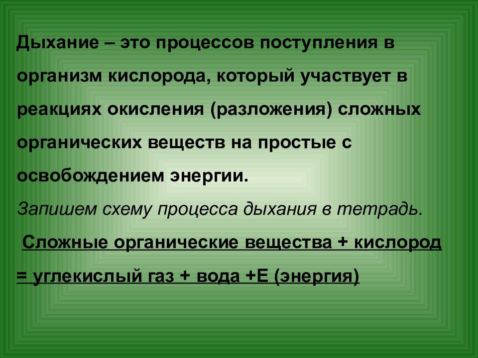 Дыхание растений 6 класс презентация