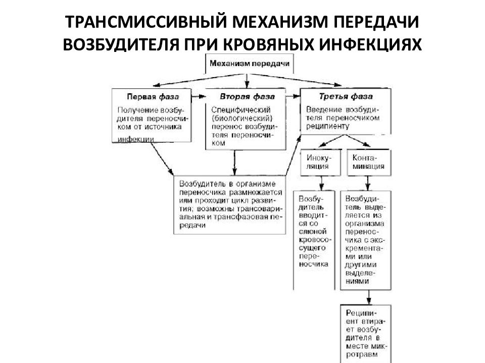 Механизм передачи возбудителя инфекции схема