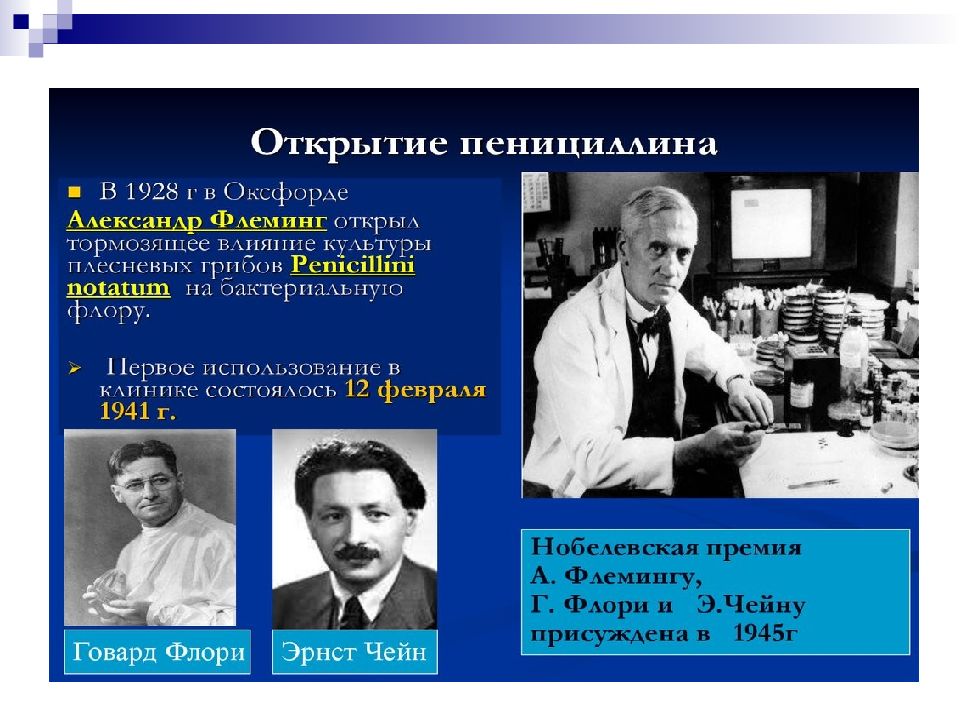 А л г е б р а. Британский бактериолог Александр Флеминг. В 1928 Г. Александр Флеминг открыл пенициллин. Флеминг открыл пенициллин. Александр Флеминг пенициллин.