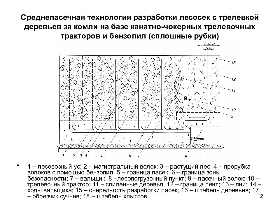 Новая технологическая карта разработки лесосеки