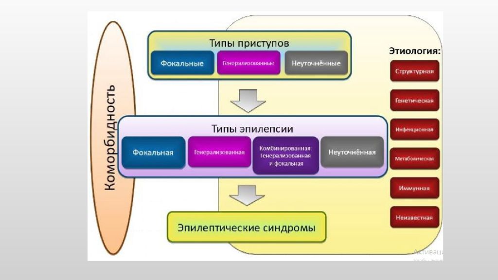 Новая классификация. Новая классификация эпилепсии 2017г. Классификация эпилептических приступов ILAE, 2017. Современная классификация эпилепсии 2020. Новая классификация эпилептических приступов МПЭЛ 2017.