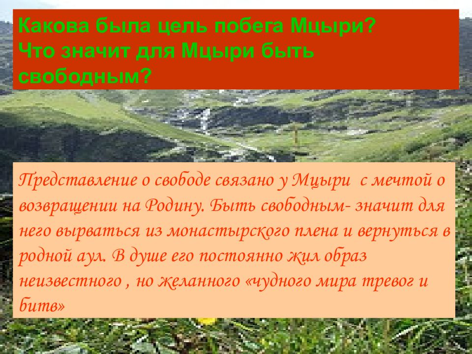 Что значит мцыри. Какова цель побега Мцыри. Какова цельпобеша Мцыри. Цель побега Мцыри. Цель Мцыри.