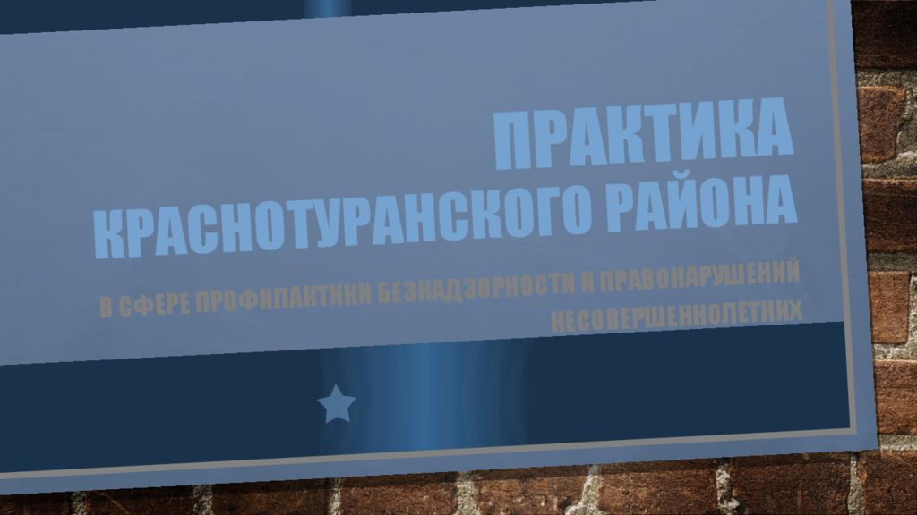 Практика Краснотуранского района