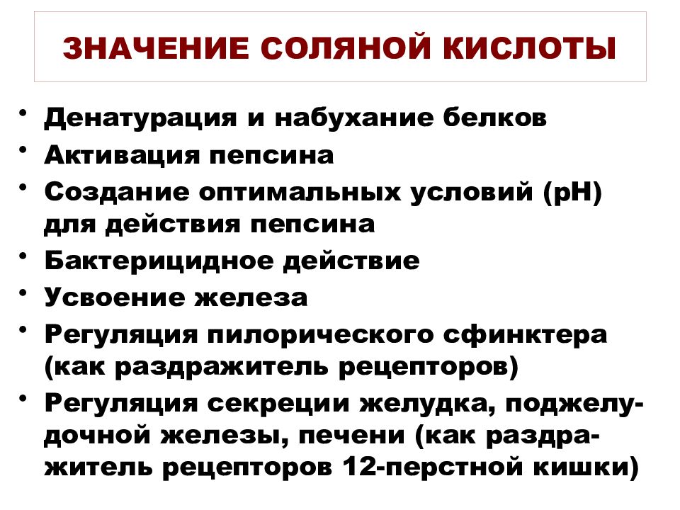 Пищеварение в желудке 8 класс презентация