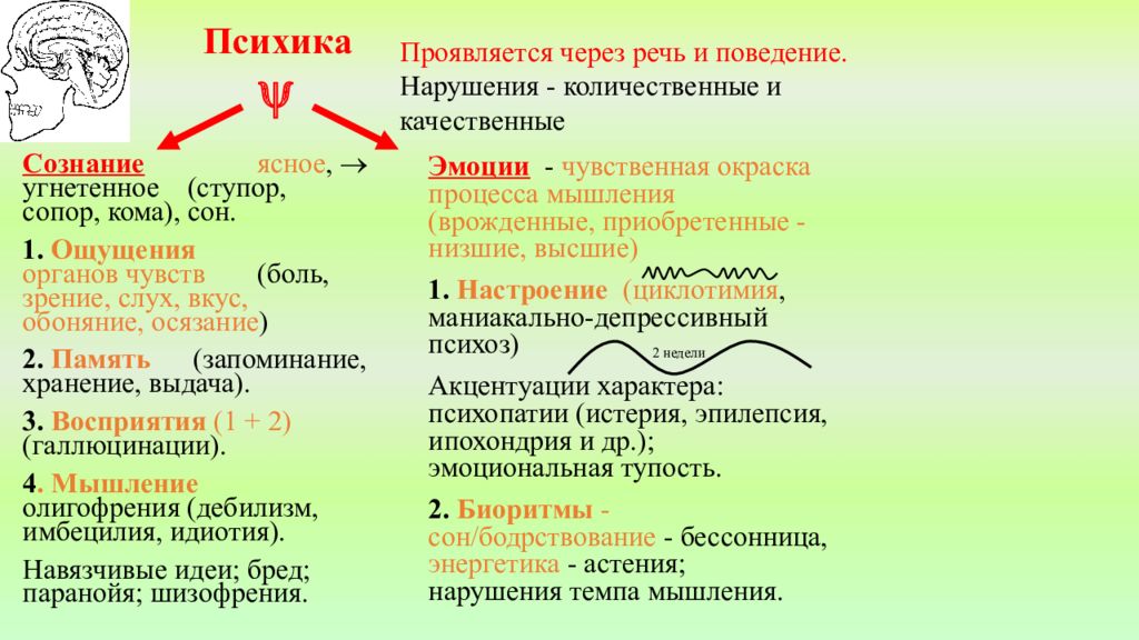 Угнетения органов. Количественные и качественные нарушения сознания. Виды нарушения сознания качественные и количественные. Средства Угнетающие ЦНС. Сознание ясное оглушение сопор кома.