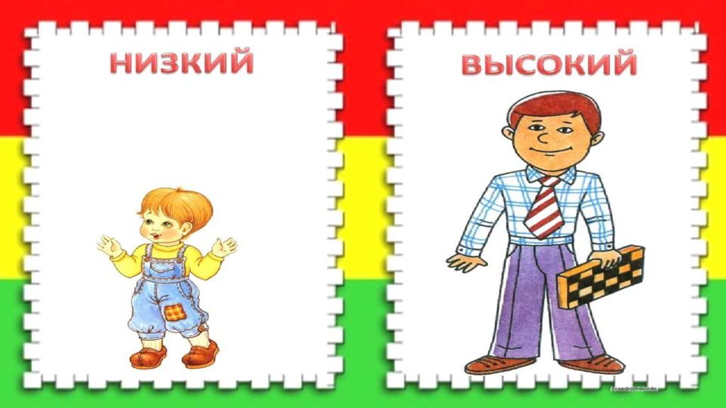 Выше уже шире ниже презентация