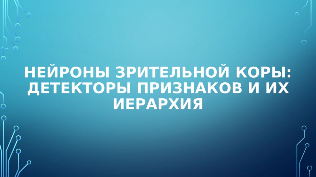 Нейроны зрительной коры: детекторы признаков и их иерархия