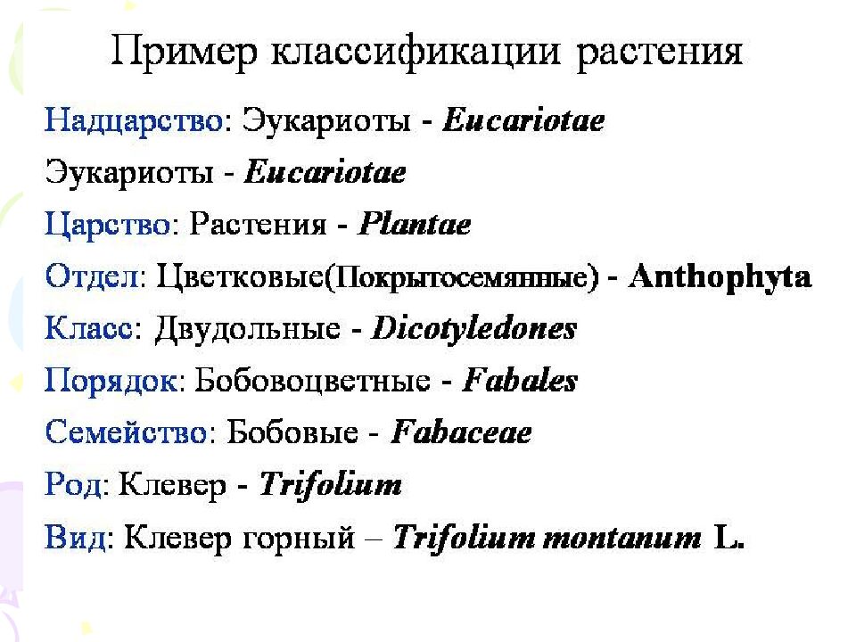 На какие царства разделяют в настоящее время все известные организмы?