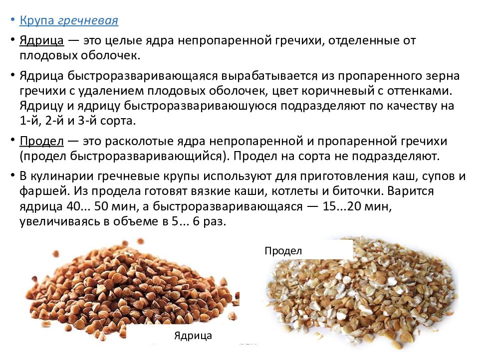 Презентация гречневая крупа