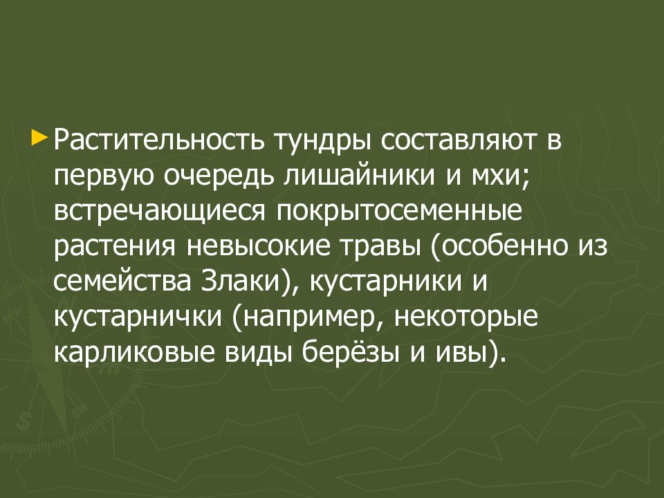 Презентация по географии тундра 6 класс