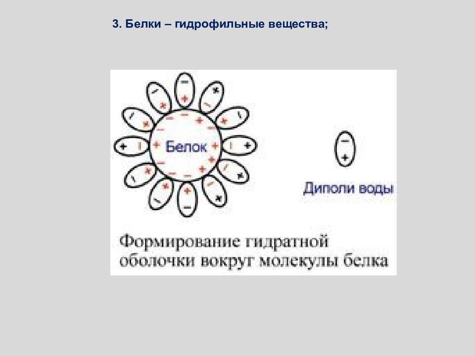 Оболочка белка. Гидратная оболочка белков. Гидратная оболочка вокруг белка. Гидрататная оболочкасхема. Гидратная оболочка ионов.