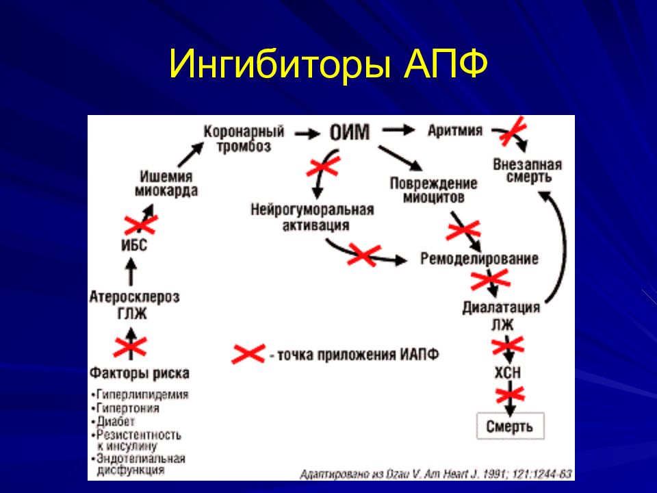 Ингибиторы апф презентация фармакология