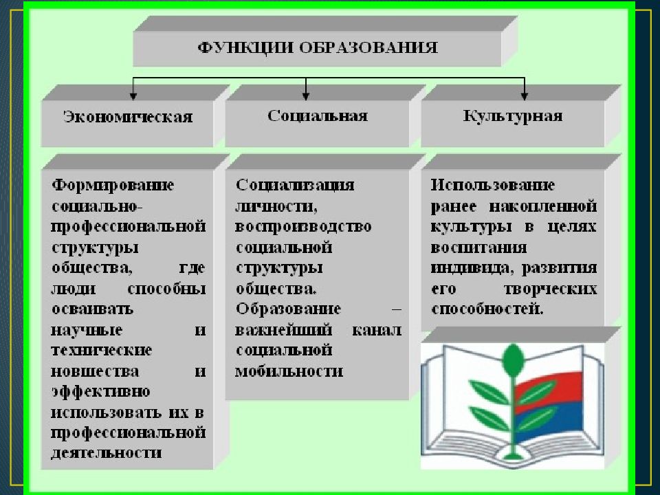 Составьте план текста основным институтом современного образования