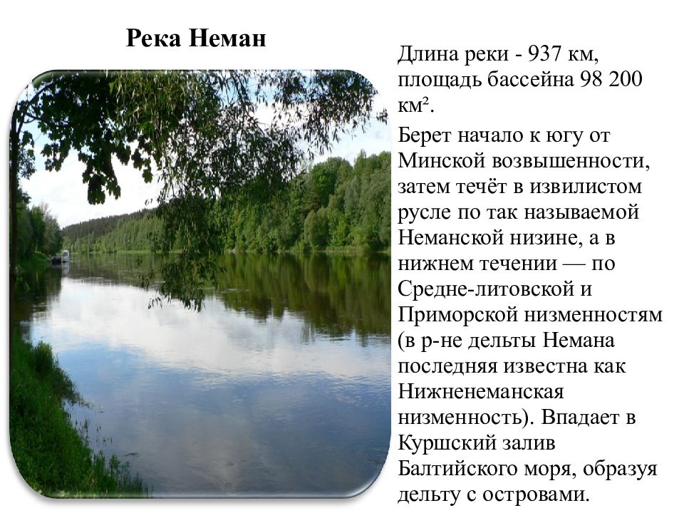 Река неман на карте. Река Неман в Калининградской области. Река Неман доклад. Куда впадает река Неман.