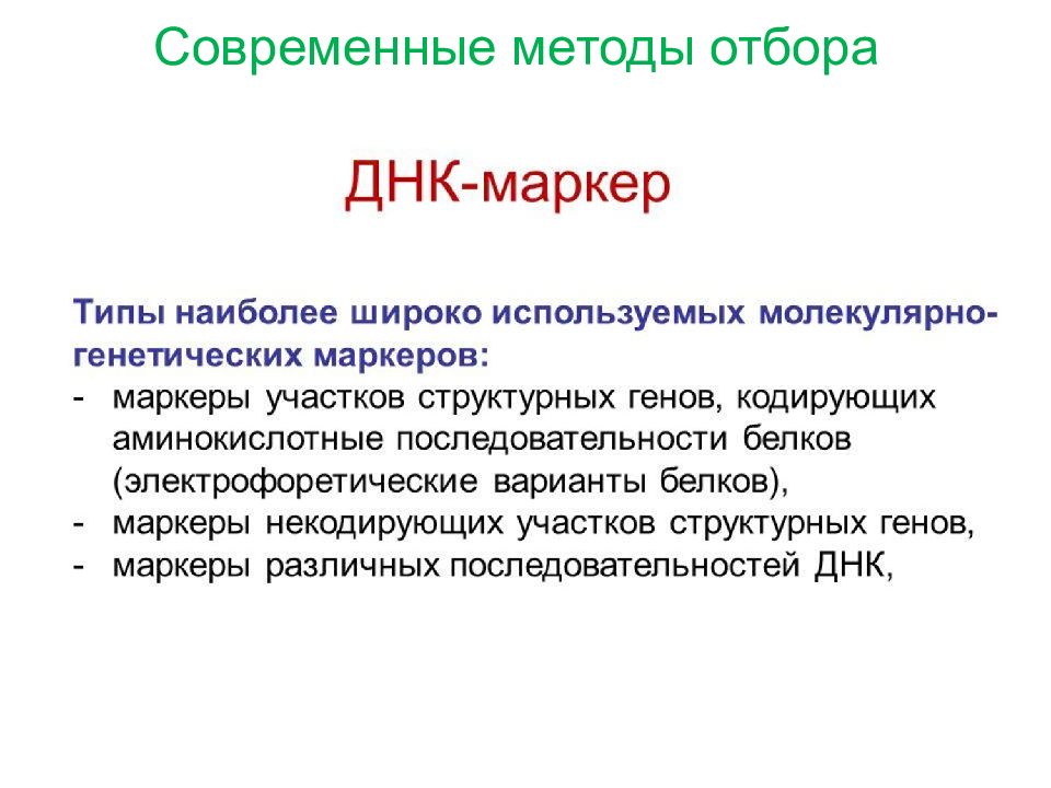 Основные методы селекции презентация 11 класс