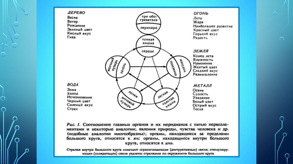 Связь эмоций. Органы и эмоции взаимосвязь. Взаимосвязь органов человека. Взаимосвязь органов человека и эмоций. Связь эмоций и меридианов.