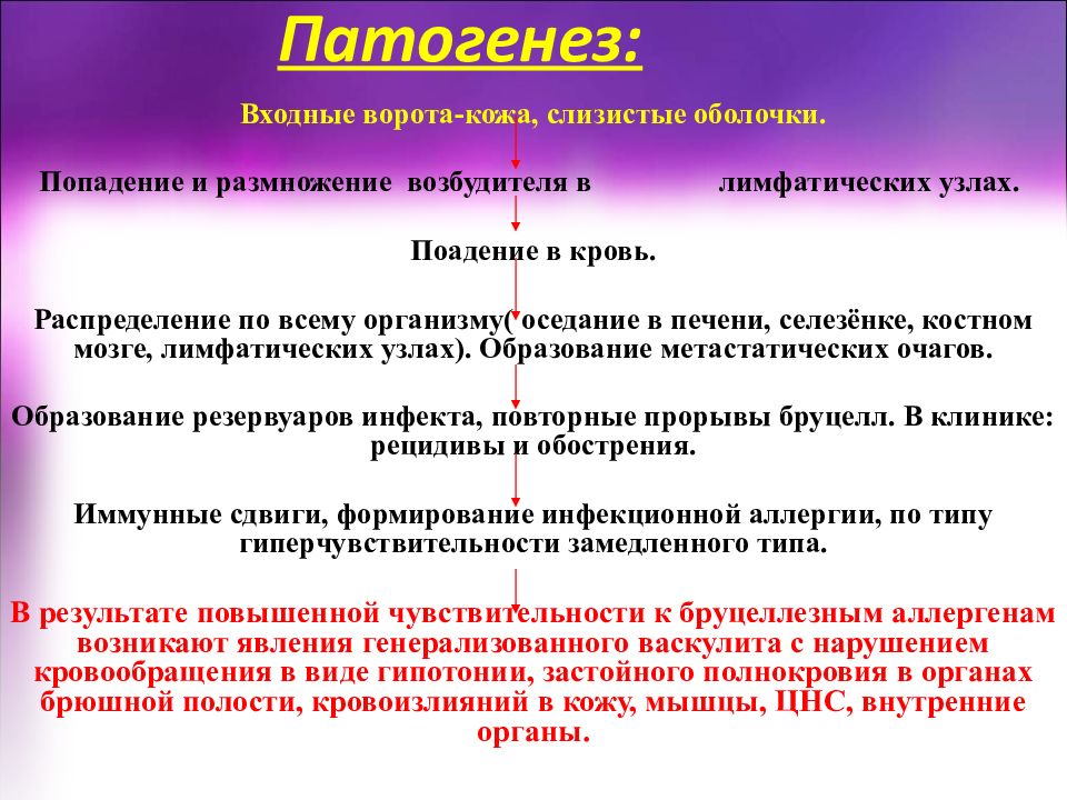 Бруцеллез инфекционные болезни. Бруцеллез патогенез кратко. Бруцеллез патогенез схема. Хронический бруцеллез патогенез. Патогенез при бруцеллёзе.