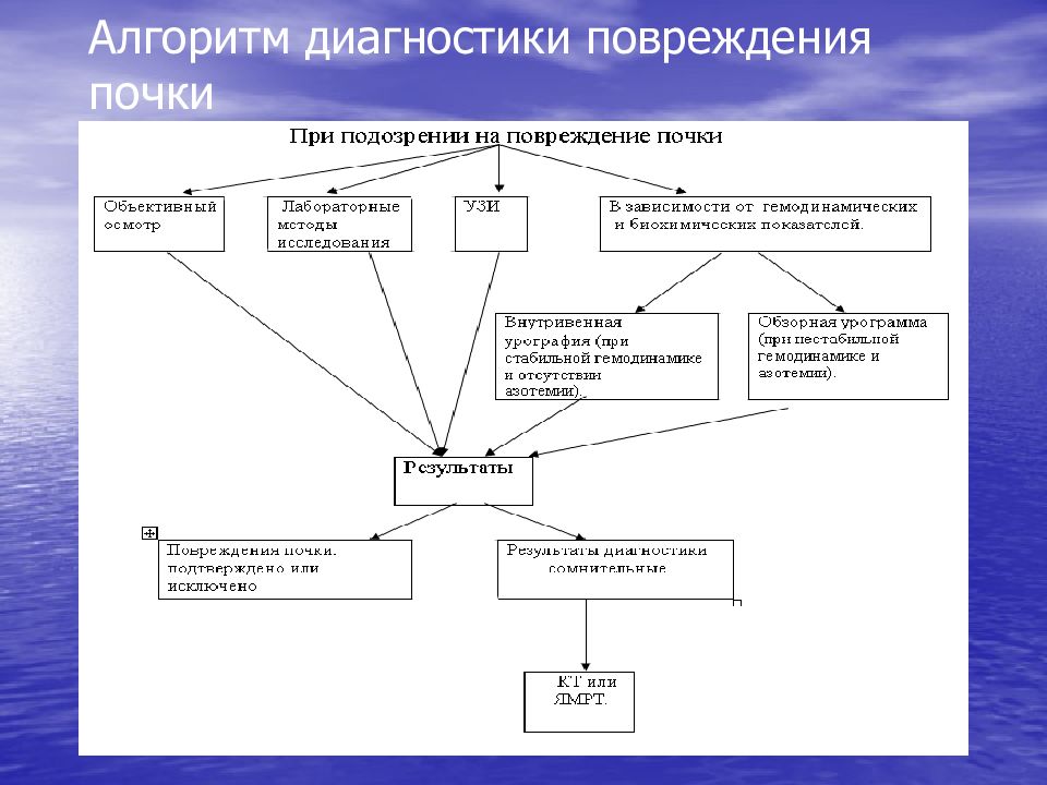 Травмы органов мочевыделительной системы презентация