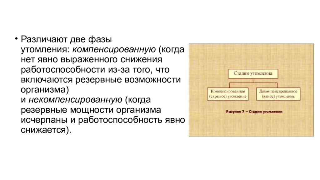 Фазы утомления. Две фазы утомления. Фазы и стадии утомления. Компенсированное утомление. Фазы утомления компенсированная и некомпенсированная.