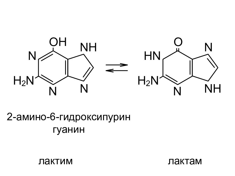 Пурины это