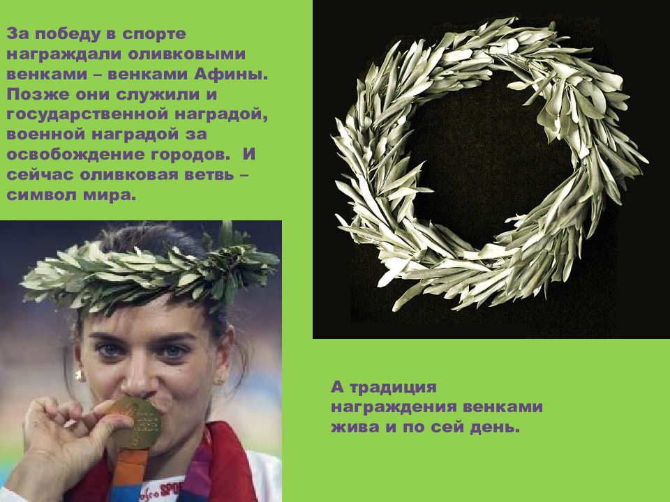 Лавровый венок победы. Оливковый венок. Оливковая ветвь. Оливковая ветвь награда.