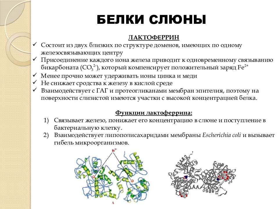 Биохимия слюны презентация