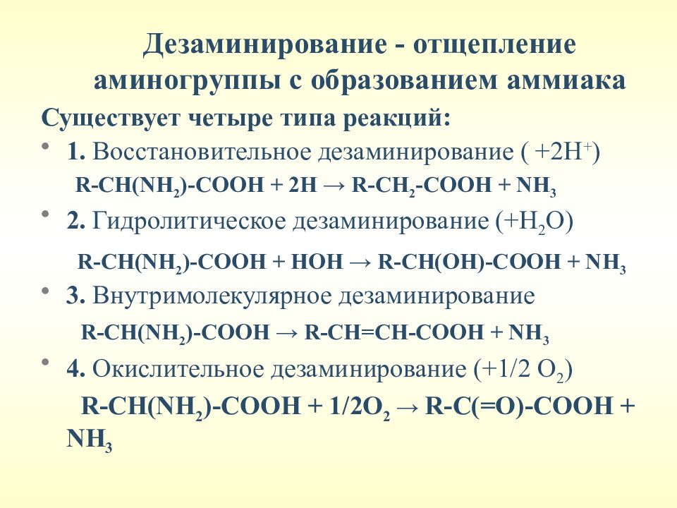 Аммиак образуется при разложении. Дезаминирование аммиака. реакция образования аммиака. уравнения образования аммиака. дезаминирование аминокислот образование аммиака.