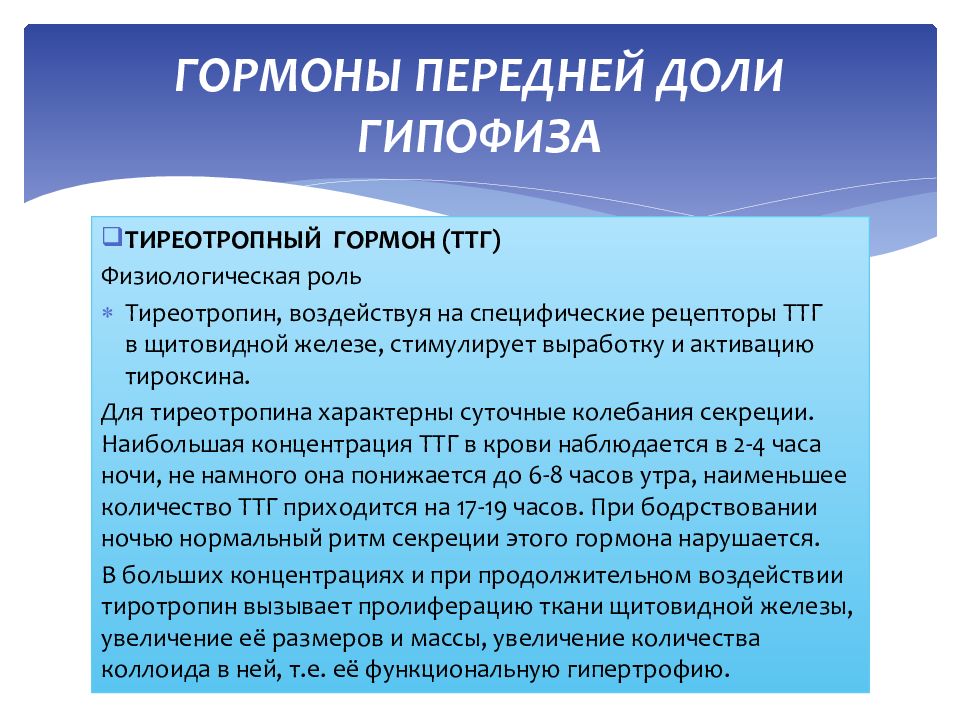 Тиреотропина тиротропина тиреоидного гормона. Тиреотропный гормон гипофиза. Тиреотропный гормон передней доли гипофиза:. ТТГ гормон гипофиза. ТТГ стимулирует Синтез.