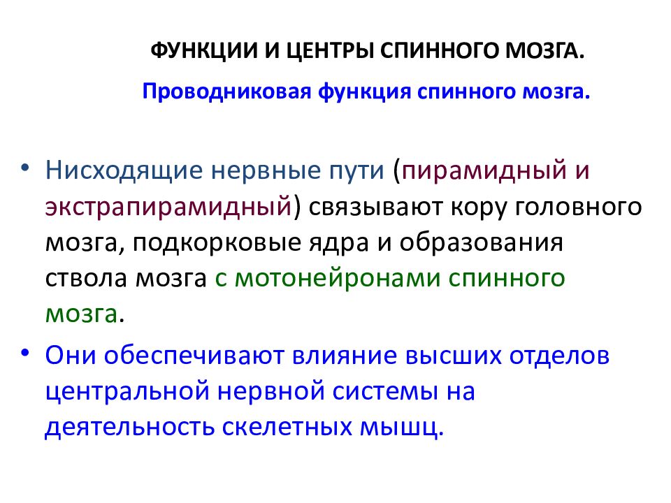 Проводниковая функция спинного мозга. Развитие спинного мозга. Проводниковая функция.