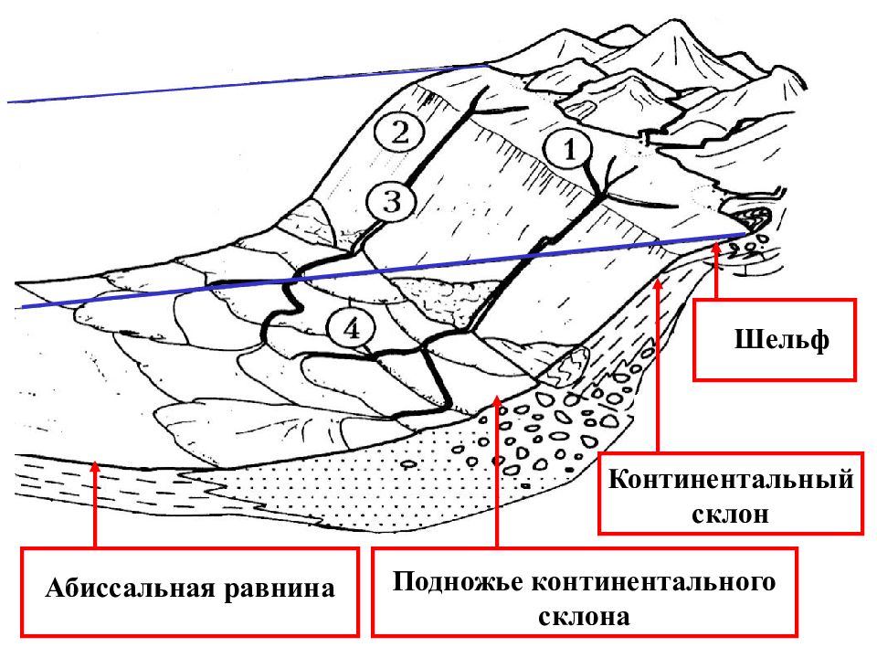 Континентальный рельеф. Шельф, материковый склон, материковое подножие. Шельф континентальный склон континентальное подножие. Шельф, континентальный склон, подножье, абиссальная равнина,. Шельф склон подножие.