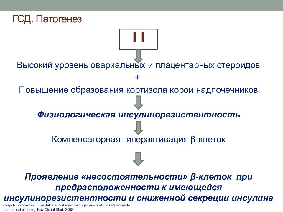 Сахарный диабет этиология патогенез диагностика. Патогенез гестационного сахарного диабета. Патогенез гестагенного сахарного диабета. Механизм развития гестационного диабета. Патогенез гестационного СД.