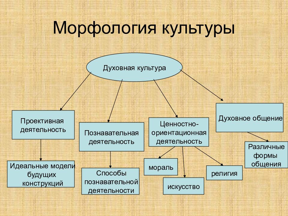 Морфология картинки для презентации