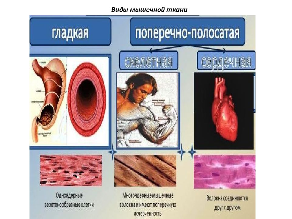 Слушать сим карта запломбирована