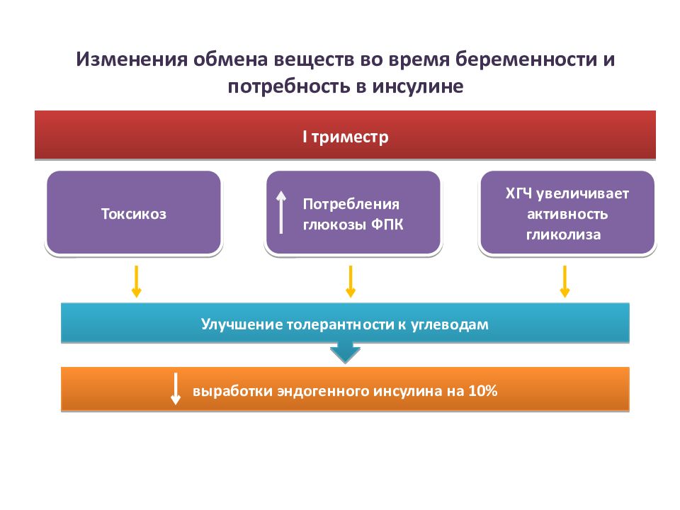 Изменение в обмене. Изменения в обмене веществ при беременности. Изменения в обмене веществ у беременной. Особенности обмен веществ у беременных. Изменения в белковом обмене при беременности.