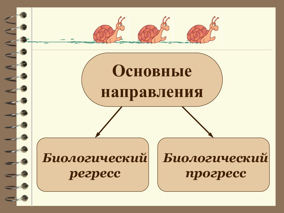 Главные направления эволюции 9 класс презентация