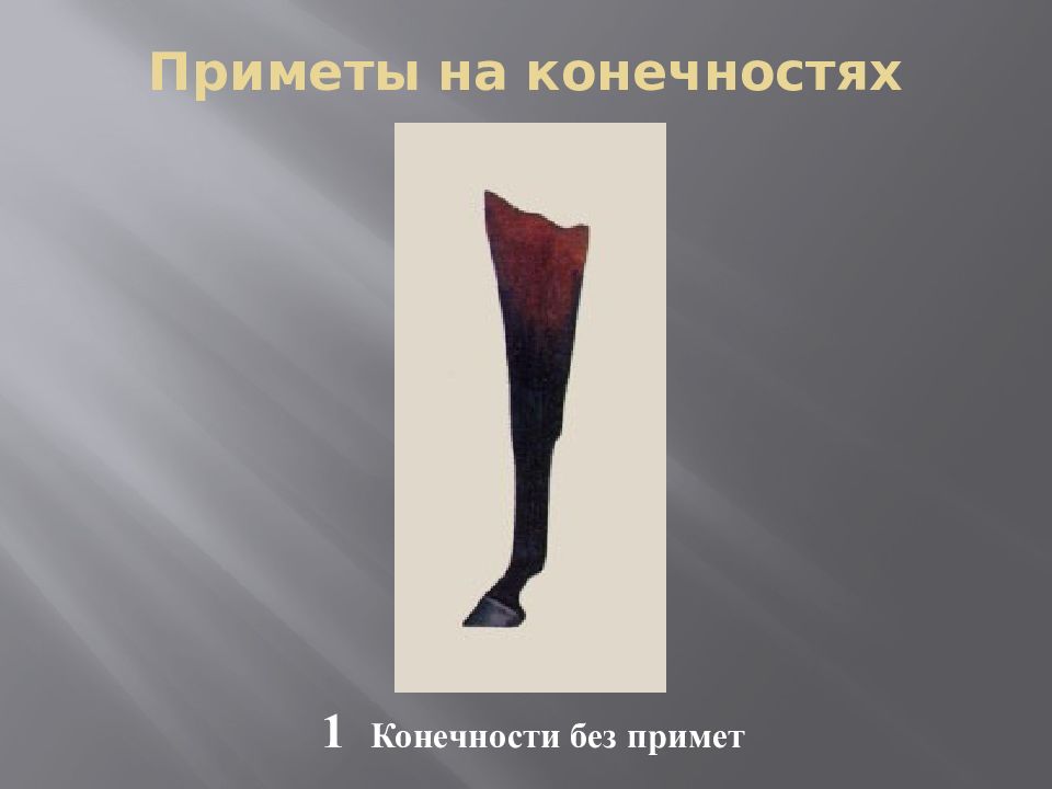 Приметы на конечностях