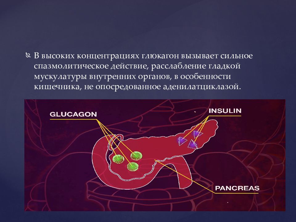 Гиперфункция глюкагона. Глюкагон поджелудочной железы. Гипофункция глюкагона. Гиперфункция гл.Кагона.